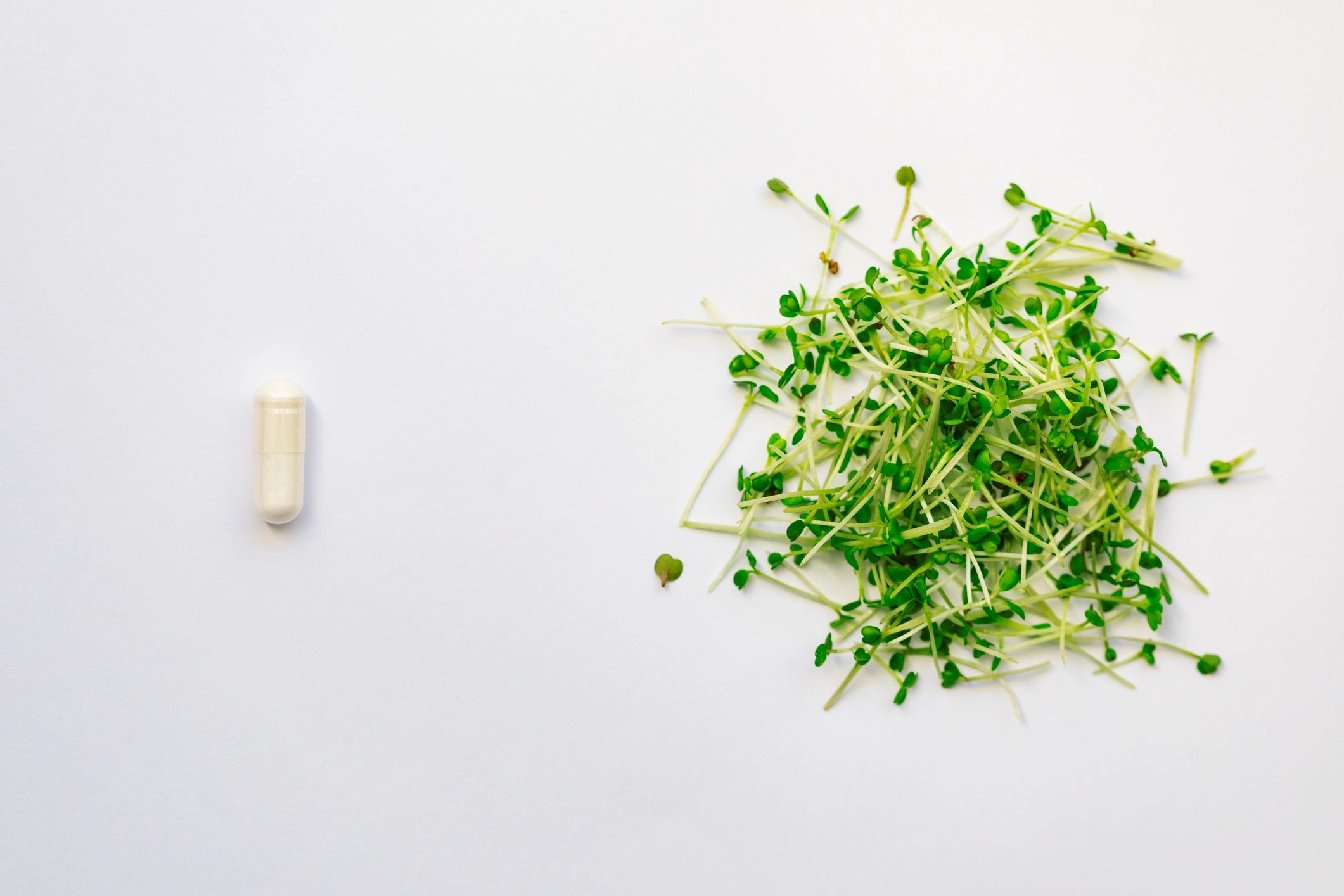 modern probiotics supplements wellness gut health microgreens