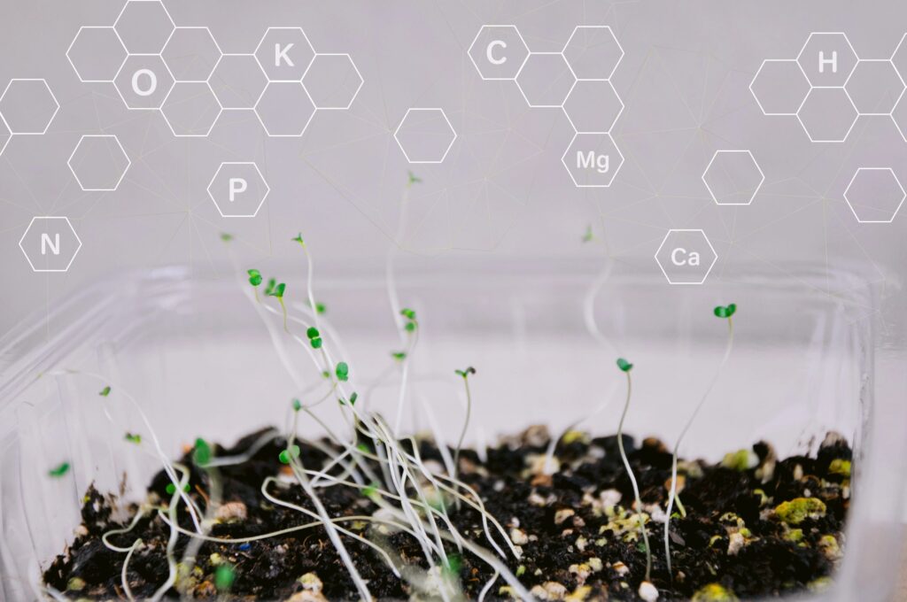 modern nutrition education, healthy food, supplements, gut health, science, microgreens, probiotics, prebiotics, fermentation