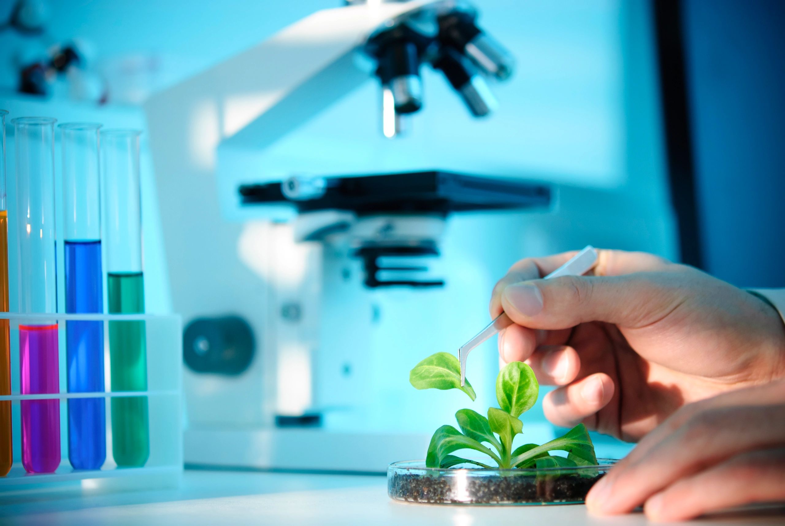 microscope and laboratory with green plants