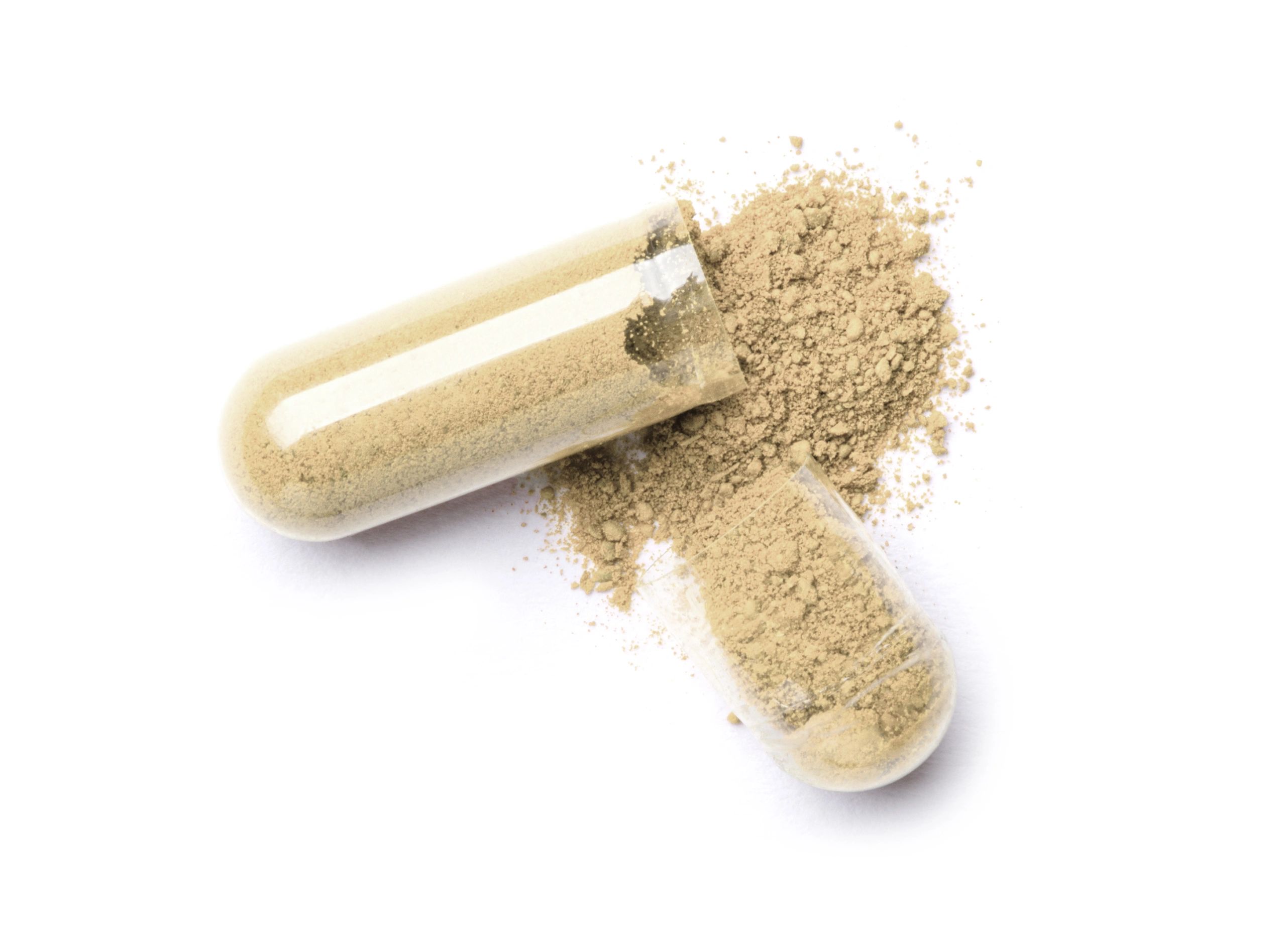 probiotic powder