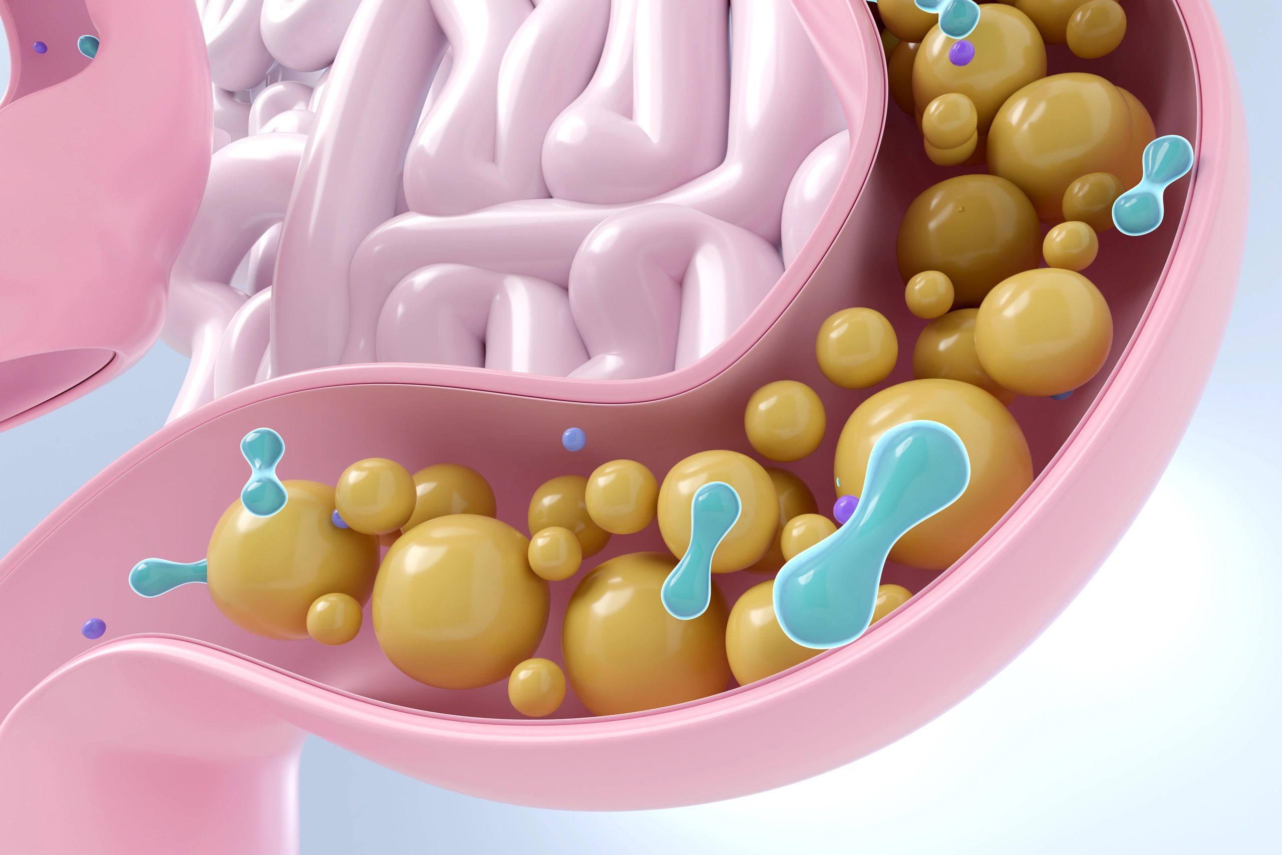 healthy gut microbiome illustration