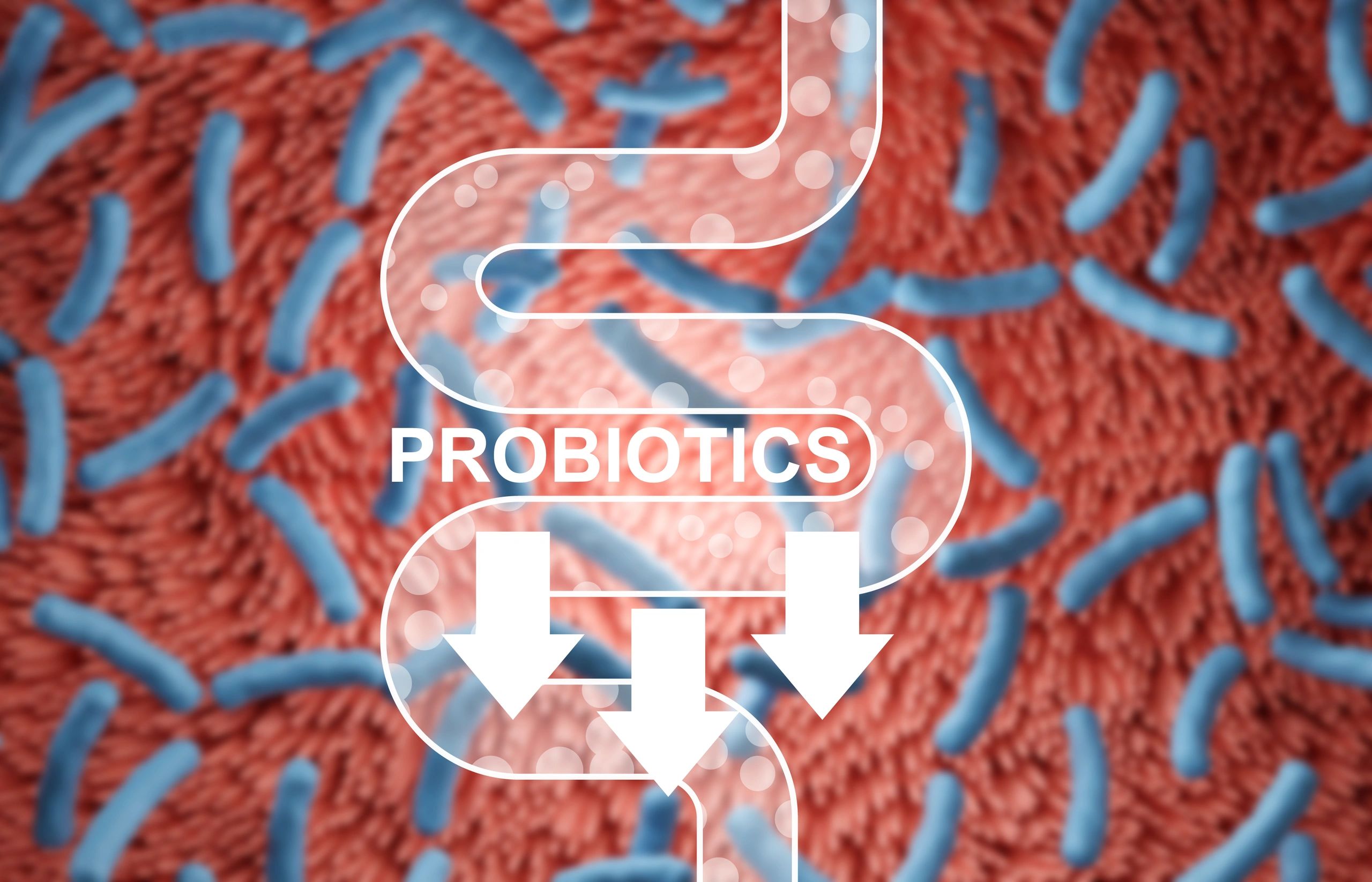 gut health probiotics natural