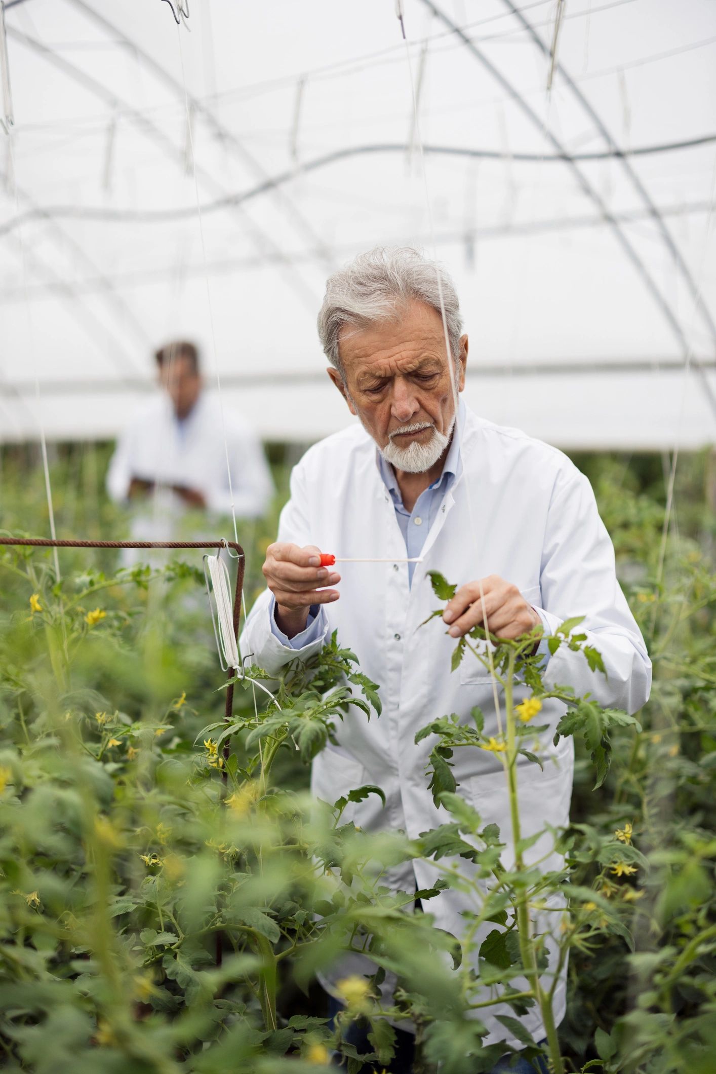 scientists working with natural supplements research